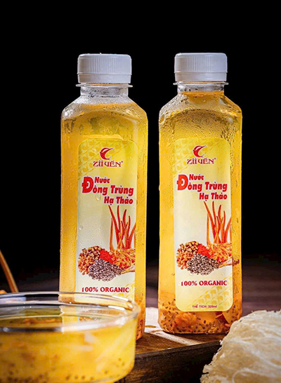 dong trung ha thao hai phong zii yen