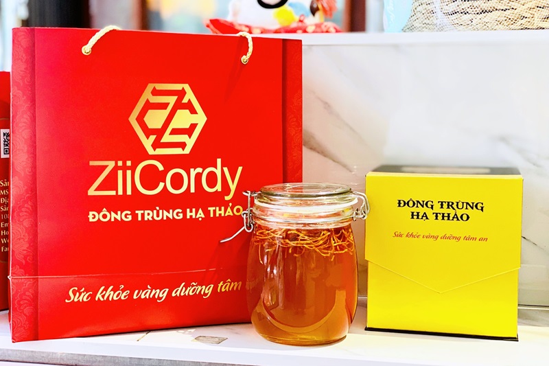đông trùng ngâm mật ong zii cordy