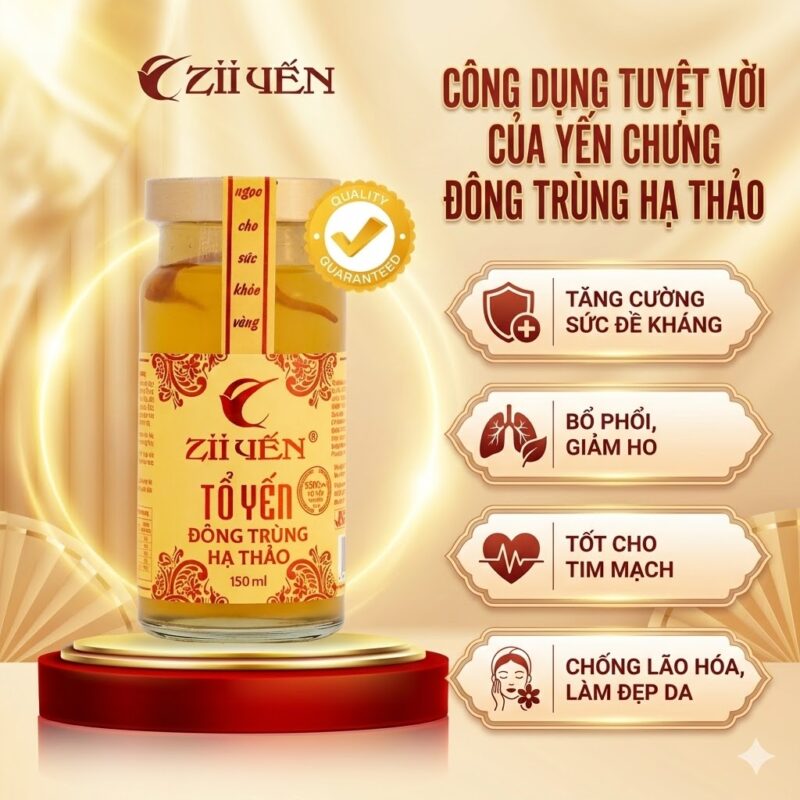 công dụng yến chưng đông trùng hạ thảo