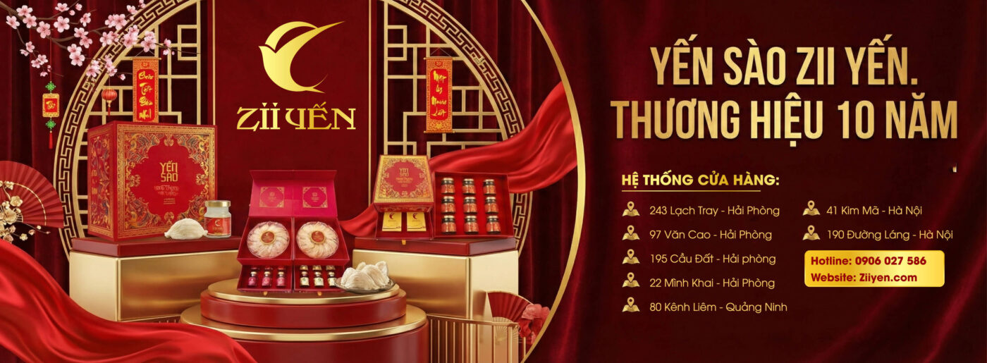 yến-sào-zii-yến (1)