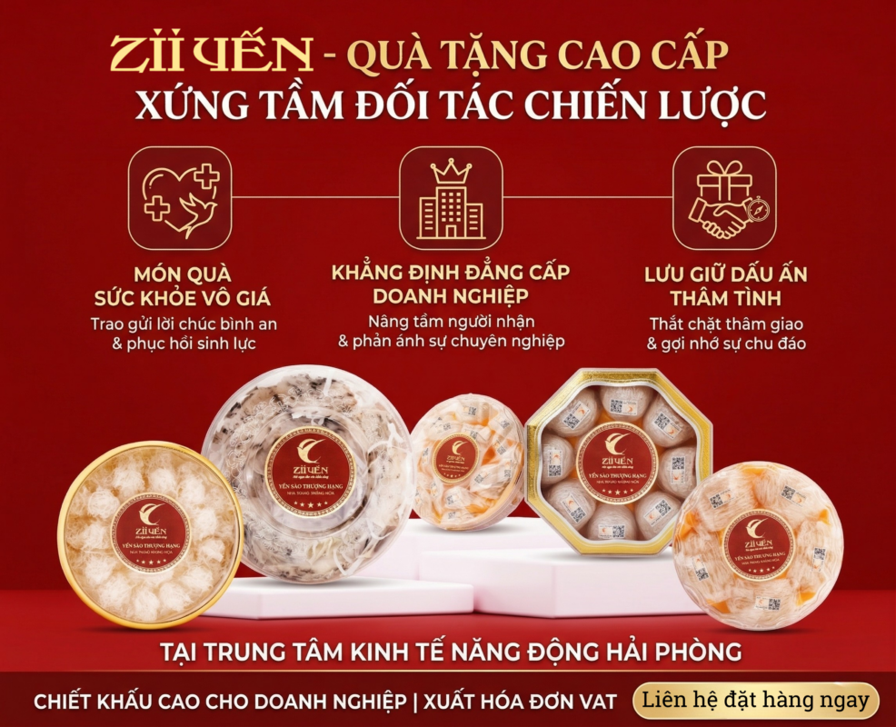 Quà tặng tổ yến cao cấp Zii Yến