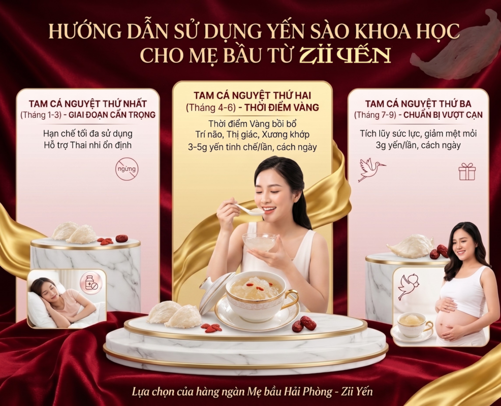 Hướng dẫn sử dụng yến sào Zii Yến cho mẹ bầu