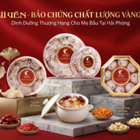 Zii Yến - Bảo chứng chất lượng vàng