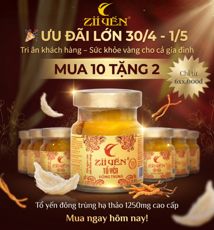 Ưu đãi mua 10 tặng 2 tổ yến đông trùng hạ thảo 1250mg