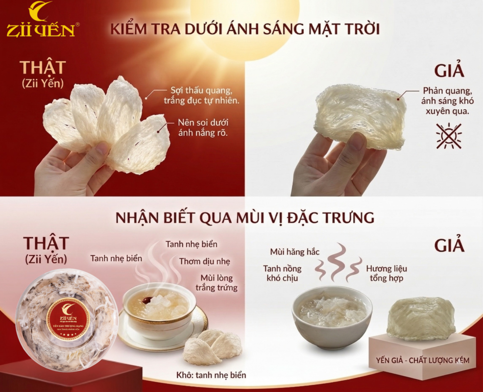 Phân biệt yến sào thật giả qua ánh sáng và mùi vị