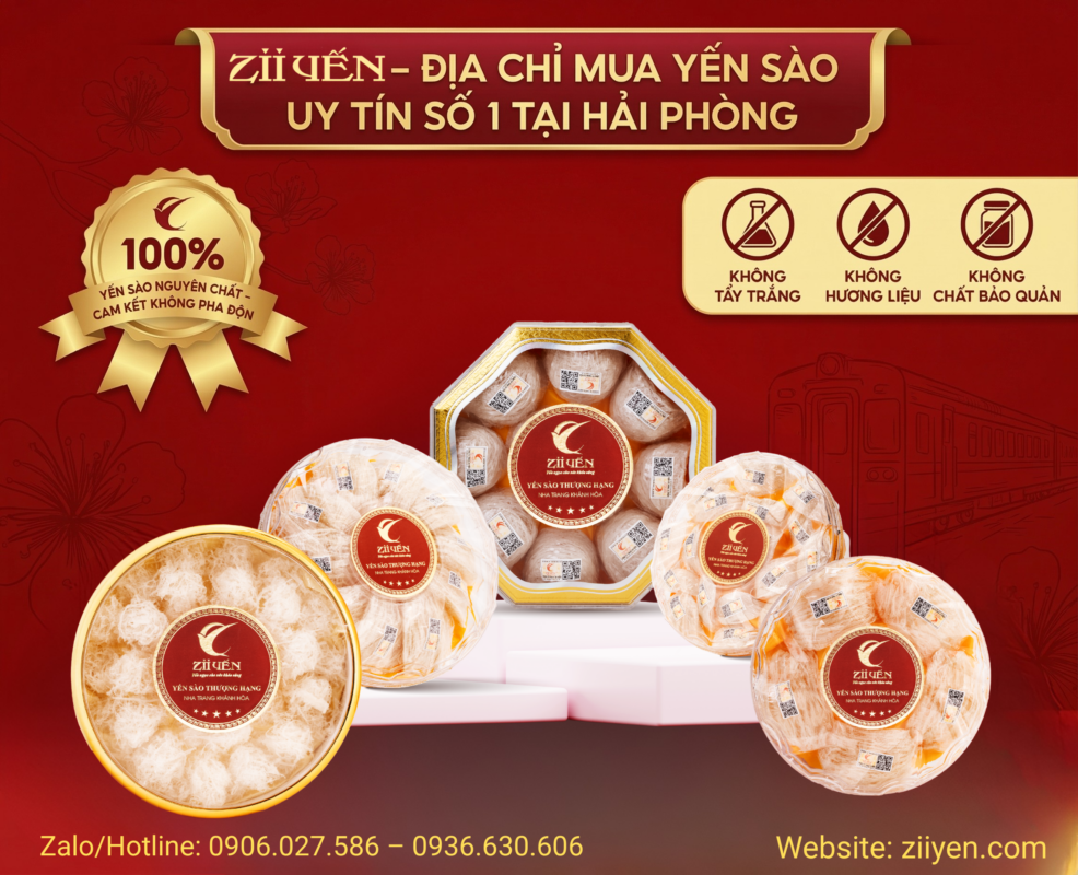 Zii Yến - Địa chỉ mua yến sào số 1 Hải Phòng