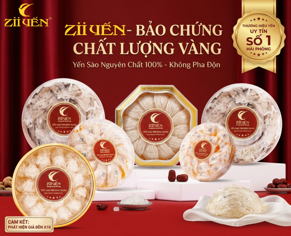 Zii Yến - Thương hiệu yến sào số 1 Hải Phòng