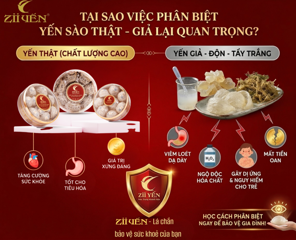 Phân biệt yến sào thật giả