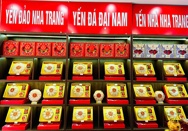 một không gian trưng bày của zii yến hải phòng 243 Lạch Tray