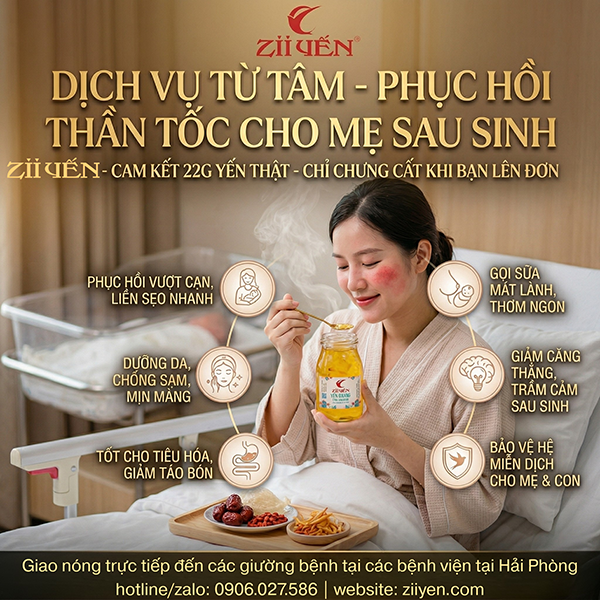 yen nong hai phong zii yen luon co san tai 243 lach tray