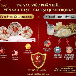 hộp quà cao cấp yến sào hải phòng zii yến
